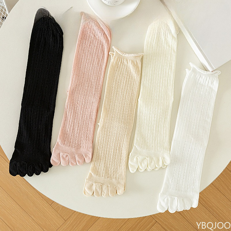 Five finger socks women stacke - đánh giá và giá Pipe Bending Spring